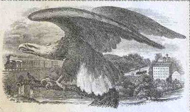 0 shares (70) EF Banknote
