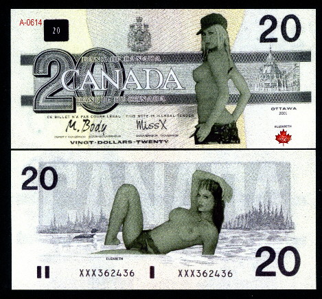 20 dollars  (90) UNC Banknote